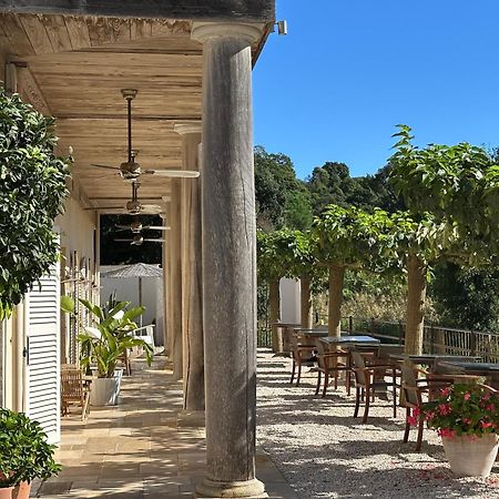 Le Clos Des Sept Palmiers Cavalaire-sur-Mer Exteriör bild