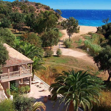 Le Clos Des Sept Palmiers Cavalaire-sur-Mer Exteriör bild