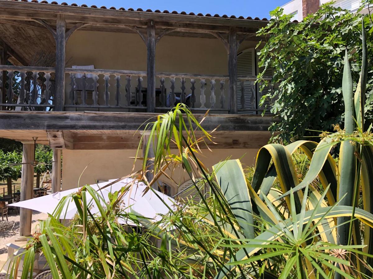 Le Clos Des Sept Palmiers Cavalaire-sur-Mer Exteriör bild