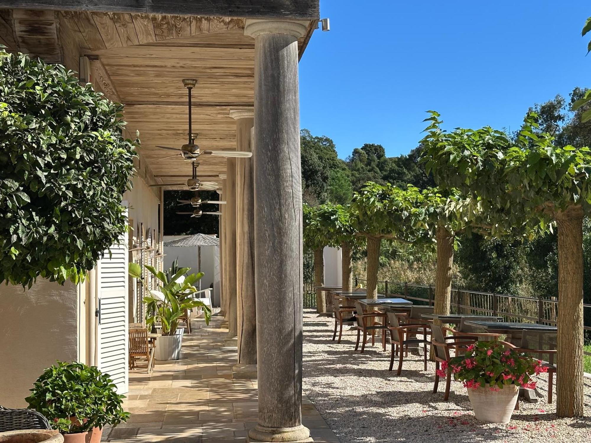 Le Clos Des Sept Palmiers Cavalaire-sur-Mer Exteriör bild