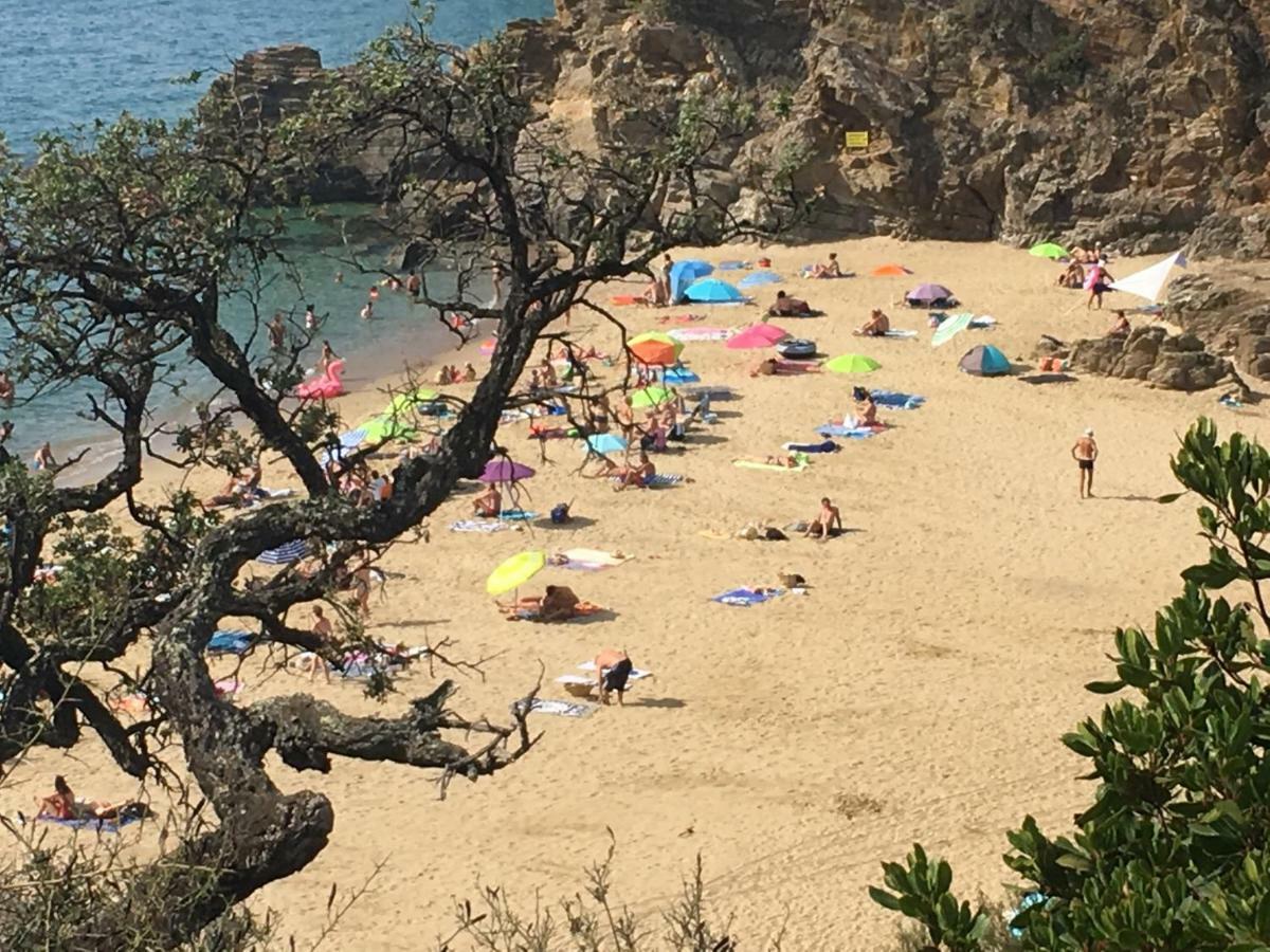 Le Clos Des Sept Palmiers Cavalaire-sur-Mer Exteriör bild