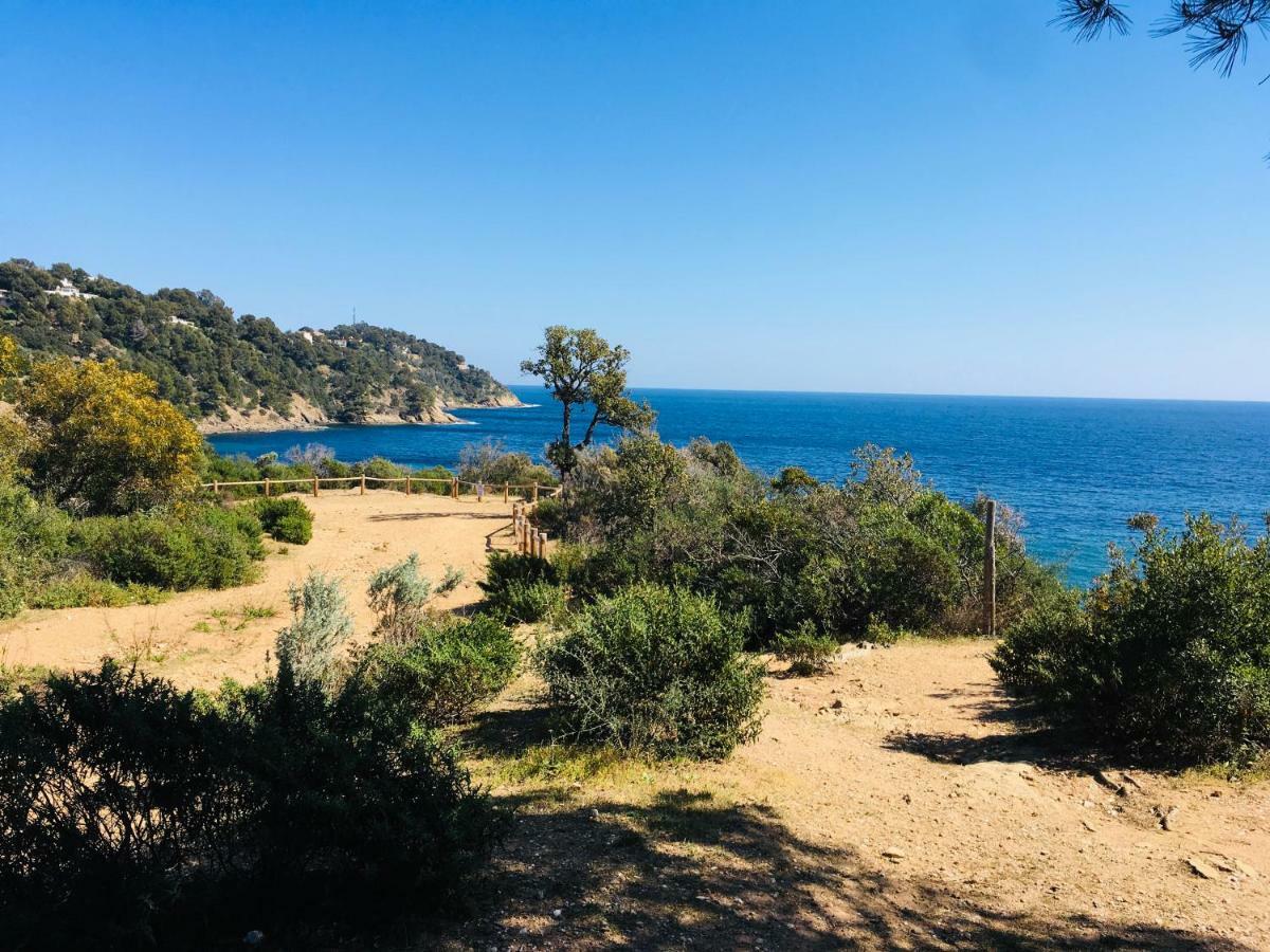Le Clos Des Sept Palmiers Cavalaire-sur-Mer Exteriör bild
