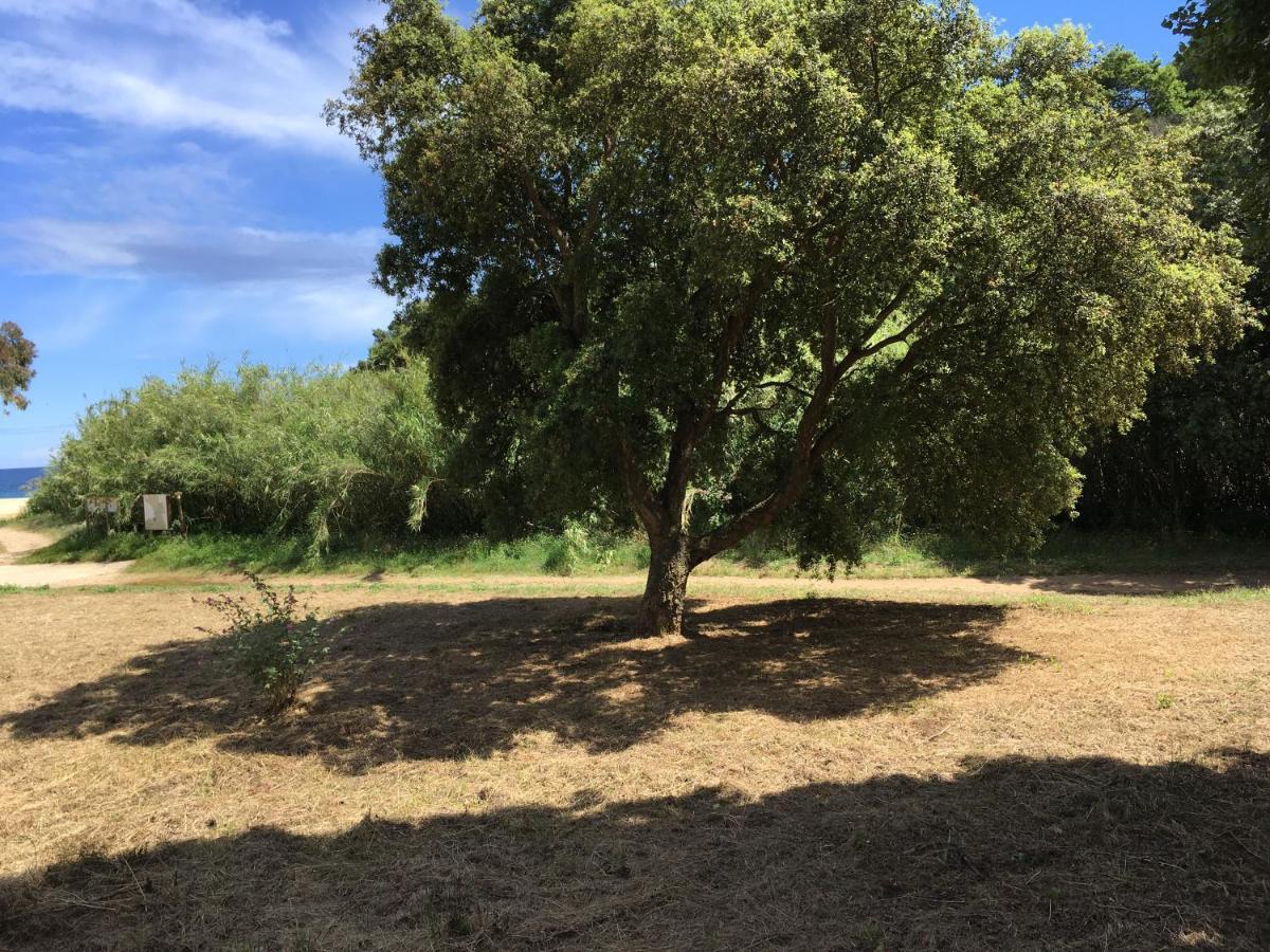Le Clos Des Sept Palmiers Cavalaire-sur-Mer Exteriör bild